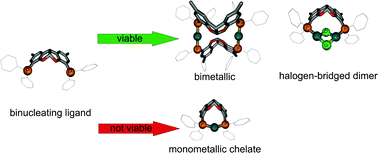 Graphical abstract: An approach to bimetallic catalysts by ligand design