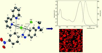 Graphical abstract: Unusual azobenzene/bipyridine palladacycles: structural, dynamical, photophysical and theoretical studies