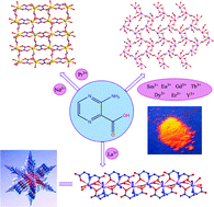 Graphical abstract: Rare-earth organic frameworks involving three types of architecture tuned by the lanthanide contraction effect: hydrothermal syntheses, structures and luminescence