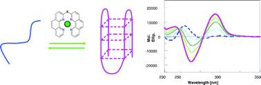 Graphical abstract: Bis-phenanthroline derivatives as suitable scaffolds for effective G-quadruplex recognition