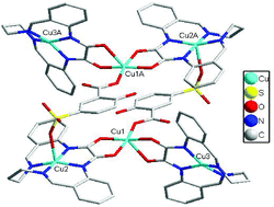 Graphical abstract: Polynuclear complexes of macrocyclic oxamide with 5-sulfosalicylate: syntheses, crystal structures and magnetic properties