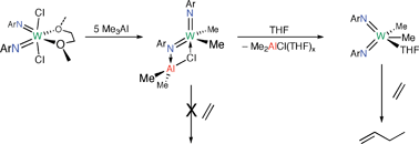 Graphical abstract: Exploring the reactivity of tungsten bis(imido) dimethyl complexes with methyl aluminium reagents: implications for ethylene dimerization