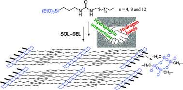 Graphical abstract: Self-assembly of layered organosilicas based on weak intermolecular interactions