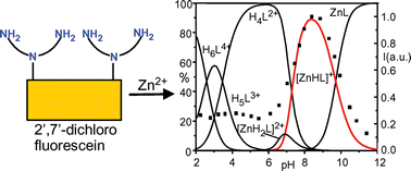 Graphical abstract: A highly pH-sensitive Zn(ii) chemosensor