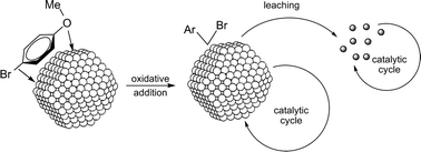Graphical abstract: Unexpected activation of carbon–bromide bond promoted by palladium nanoparticles in Suzuki C–C couplings