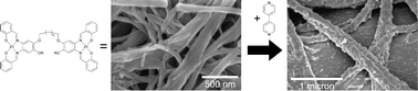 Graphical abstract: Fibrous aggregates from dinuclear zinc(ii) salphen complexes