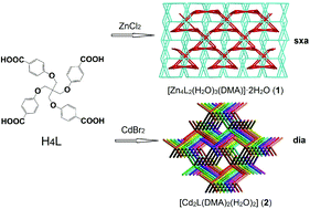 Graphical abstract: Two unprecedented NLO-active coordination polymers constructed by a semi-rigid tetrahedral linker