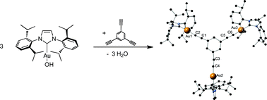 Graphical abstract: A versatile gold synthon for acetylene C–H bond activation