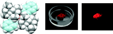 Graphical abstract: π-Conjugated disilenes stabilized by fused-ring bulky “Rind” groups