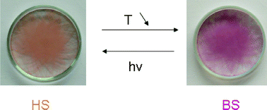Graphical abstract: Thermo- and photoswitchable spin-crossover nanoparticles of an iron(ii) complex trapped in transparent silica thin films