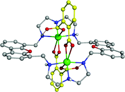 Graphical abstract: Dimetallic complexes of macrocycles with two rigid dibenzofuran units as receptors for detection of anionic substrates