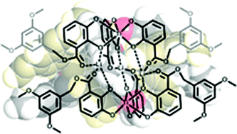 Graphical abstract: Hierarchical self-assembly of metallo-dendrimers