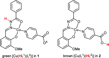 Graphical abstract: Concentration dependent tautomerism in green [Cu(HL1)(L2)] and brown [Cu(L1)(HL2)] with H2L1 = (E)-N′-(2-hydroxy-3-methoxybenzylidene)benzoylhydrazone and HL2 = pyridine-4-carboxylic (isonicotinic) acid