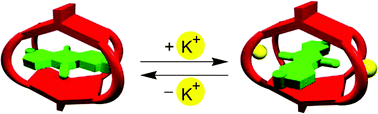 Graphical abstract: Controlling the rotation of a complexed guest within a molecular cage