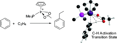 Graphical abstract: Computational study of ethene hydroarylation at [Ir(κ2-OAc)(PMe3)Cp]+