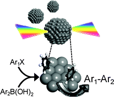 Graphical abstract: Surface catalysed Suzuki–Miyaura cross-coupling by Pd nanoparticles: an operando XAS study