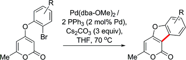 Graphical abstract: Pd-catalysed regioselective C–H functionalisation of 2-pyrones