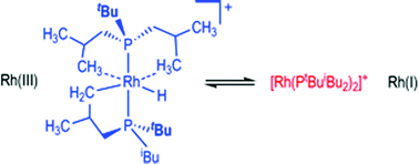 Graphical abstract: Reversible C–H activation of a PtBuiBu2 ligand to reveal a masked 12 electron [Rh(PR3)2]+ cation