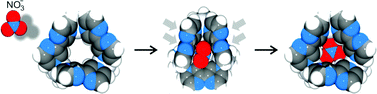 Graphical abstract: [NO3⊂{(en)Pt(2,2′-bpz)}3]NO3(SO4)2: Snapshot of nitrate insertion into a cationic Pt3 metallacycle or simply a packing effect?