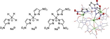 Graphical abstract: Scorpionates bearing nitro substituents: mono-, bis- and tris-(3-nitro-pyrazol-1-yl)borate ligands and their copper(i) complexes