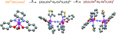 Graphical abstract: Formation of μ-dinitrogen (salen)osmium complexes via ligand-induced N⋯N coupling of (salen)osmium(vi) nitrides