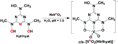 Graphical abstract: Tris-(hydroxyamino)triazines: high-affinity chelating tridentate O,N,O-hydroxylamine ligand for the cis-VVO2+ cation