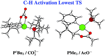 Graphical abstract: DFT study of the mechanism of benzocyclobutene formation by palladium-catalysed C(sp3)–H activation: role of the nature of the base and the phosphine