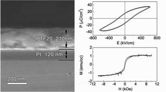 Graphical abstract: Ferroelectric and ferromagnetic properties of Pb(Ti0.8Fe0.2)O3−δ thin film