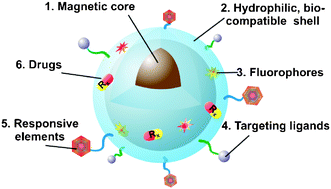 Graphical abstract: Synthesis and bio-functionalization of magnetic nanoparticles for medical diagnosis and treatment