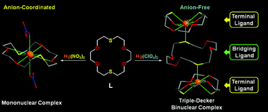 Graphical abstract: Preparation and characterisation of divalent hard and soft metal (M = Ca, Co, Cu, Zn, Cd, Hg and Pb) complexes of 1,10-dithia-18-crown-6: structural versatility