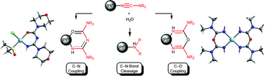 Graphical abstract: Push-Pull Nitrile Ligands Exhibit Specific Hydration Patterns