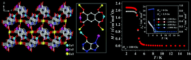 Graphical abstract: Long-range ferromagnetic ordering in a 3D CuII-tetracarboxylate framework assisted by an unprecedented bidentate μ2-O1,N4 hypoxanthine nucleobase