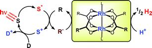 Graphical abstract: Photochemical and thermal hydrogen production from water catalyzed by carboxylate-bridged dirhodium(ii) complexes