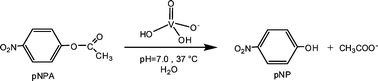 Graphical abstract: Hydrolysis of carboxyesters promoted by vanadium(v) oxyanions