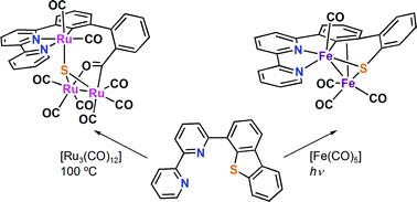 Graphical abstract: Carbon–sulfur bond cleavage reactions of dibenzothiophene derivatives mediated by iron and ruthenium carbonyls