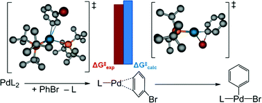 Graphical abstract: Accurate modelling of Pd(0) + PhX oxidative addition kinetics