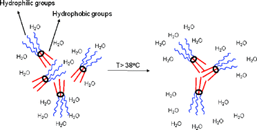 Graphical abstract: The investigation of structural and thermosensitive properties of new phosphazene derivatives bearing glycol and amino acid