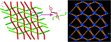 Graphical abstract: Distinct structures of coordination polymers incorporating flexible triazole-based ligand: topological diversities, crystal structures and property studies