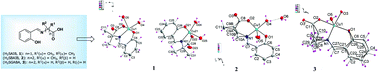 Graphical abstract: Synthesis, crystal structure and antiradical effect of copper(ii) Schiff base complexes containing five-, six- and unusual seven-membered rings