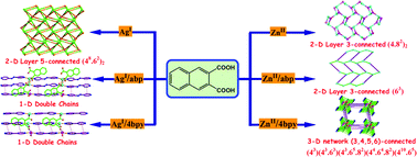 Graphical abstract: Ag(i) and Zn(ii) coordination polymers with a bulky naphthalene-based dicarboxyl tecton and different 4,4′-bipyridyl-like bridging co-ligands: structural regulation and properties