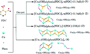 Graphical abstract: Self-assembly and characterization of copper 3,4-pyridinedicarboxylate complexes based on a variety of polynuclear hydroxo clusters