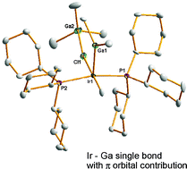 Graphical abstract: On the nature of the transition metal–main group metal bond: synthesis and theoretical calculations on iridium gallyl complexes