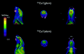 Graphical abstract: The role of coordination chemistry in the development of copper and rhenium radiopharmaceuticals