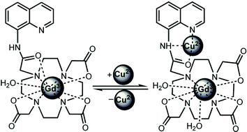 Graphical abstract: A gadolinium(III) complex with 8-amidequinoline based ligand as copper(II) ion responsive contrast agent