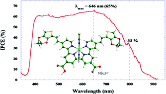 Graphical abstract: Panchromatic ruthenium sensitizer based on electron-rich heteroarylvinylene π-conjugated quaterpyridine for dye-sensitized solar cells