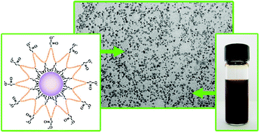 Graphical abstract: One-step synthesis of highly water-dispersible Mn3O4 nanocrystals