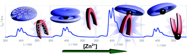 Graphical abstract: A molecular clip throws new light on the complexes formed by a family of cyclam-cored dendrimers with Zn(ii) ions. Efficient energy transfer in the heteroleptic complexes