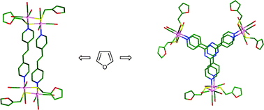 Graphical abstract: Furan-decorated neutral Re(i)-based 2D rectangle and 3D trigonal prism