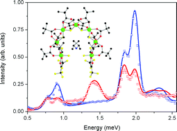 Graphical abstract: Varying spin state composition by the choice of capping ligand in a family of molecular chains: detailed analysis of magnetic properties of chromium(iii) horseshoes