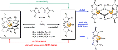 Graphical abstract: Synthesis and characterisation of trigonal C2-chiral di- and tetra-substituted bis(oxazoline) alkyl zinc complexes and their reactivity towards protic reagents
